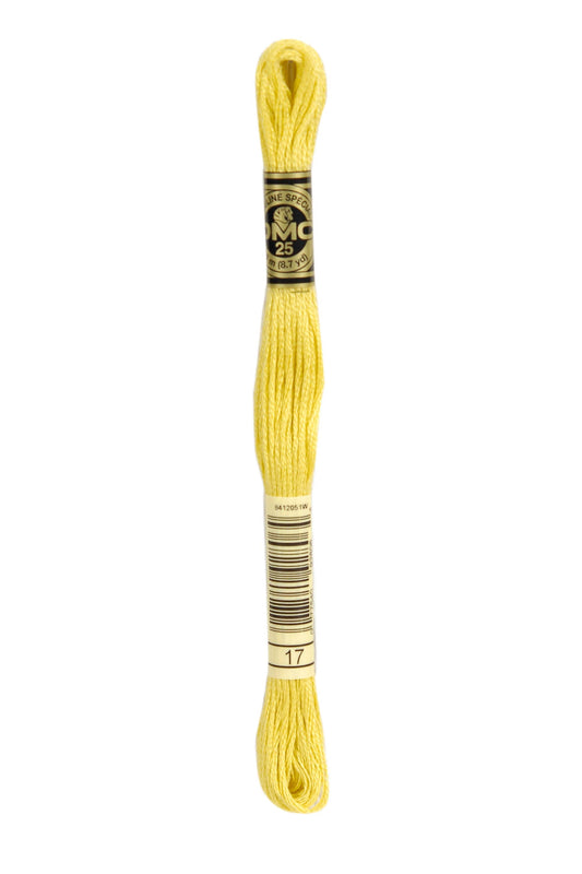 Six-Strand Embroidery Floss - 0017 (Maize)-Embroidery Thread-Wild and Woolly Yarns