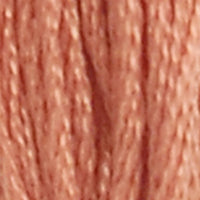 Six-Strand Embroidery Floss - 0021 (Prosciutto)-Embroidery Thread-Wild and Woolly Yarns