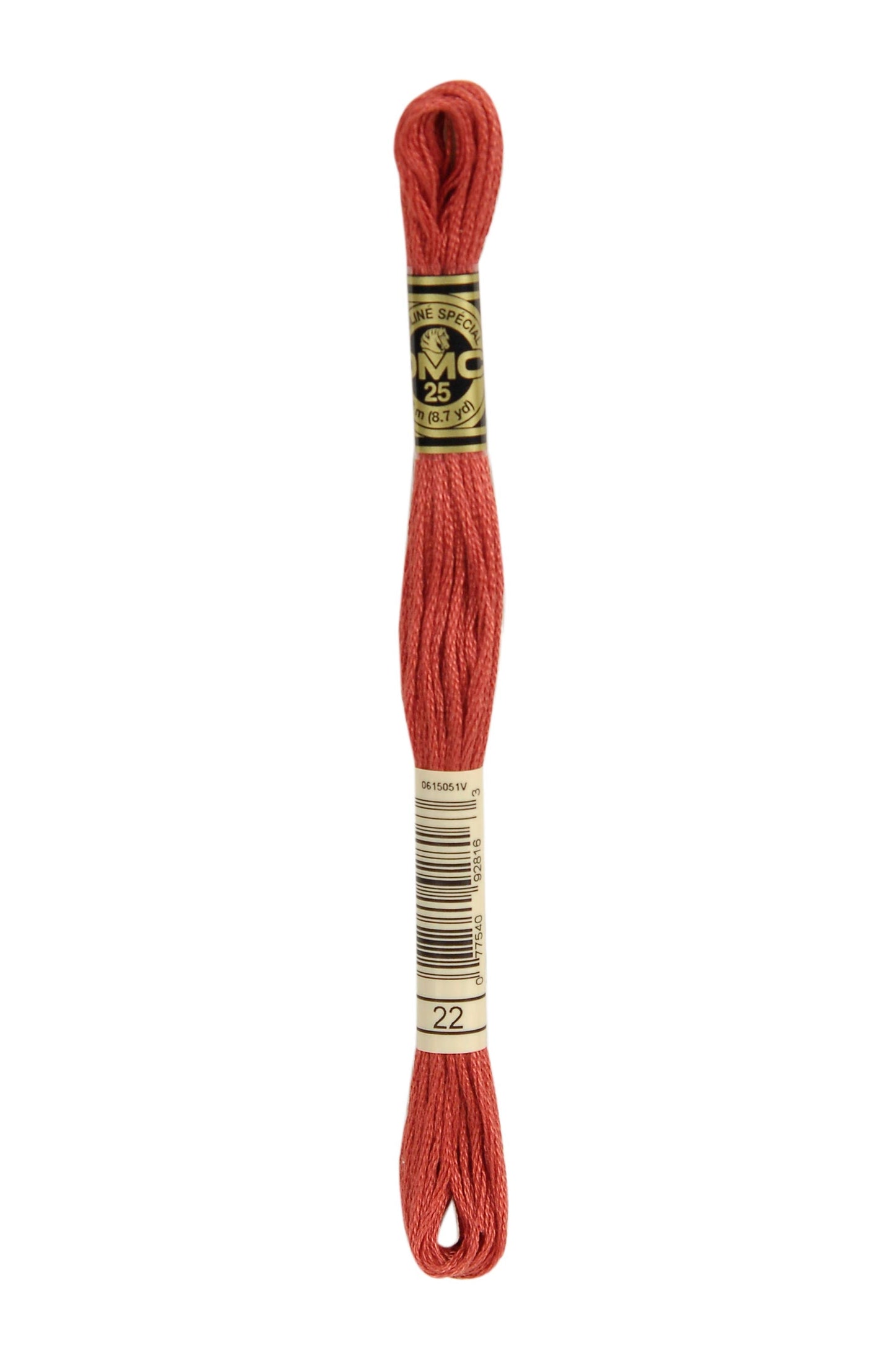 Six-Strand Embroidery Floss - 0022 (Ruby)-Embroidery Thread-Wild and Woolly Yarns