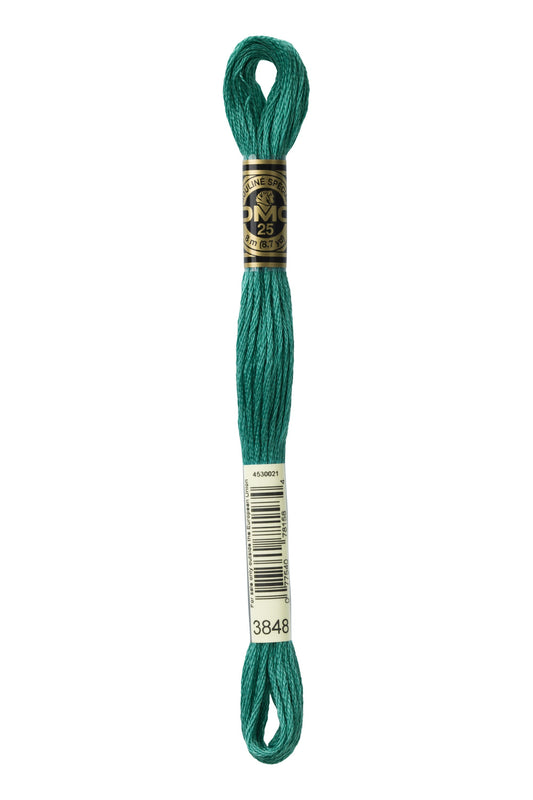 Six-Strand Embroidery Floss - 3848 (Mermaid’s Tail)-Embroidery Thread-Wild and Woolly Yarns
