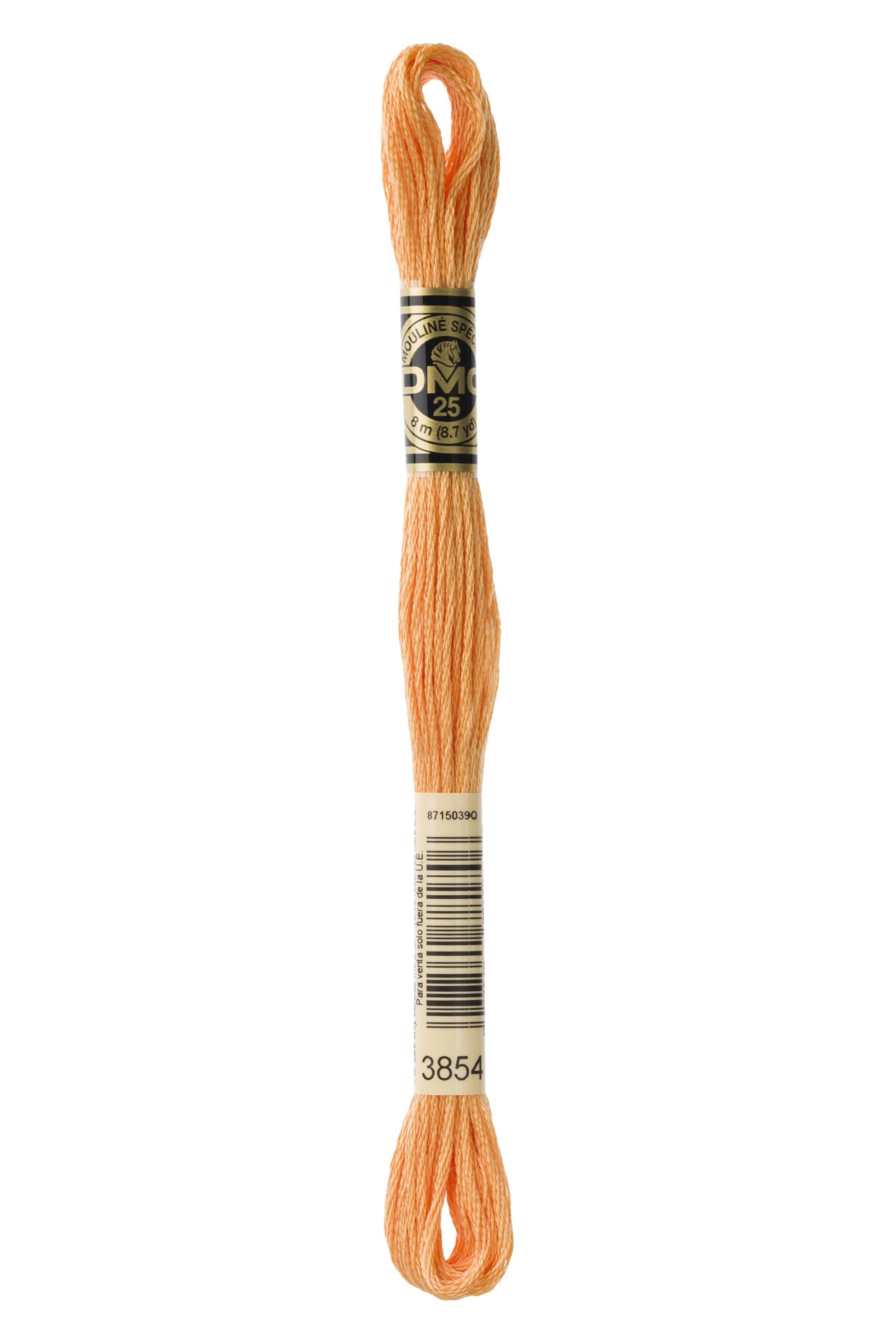 Six-Strand Embroidery Floss - 3854 (Chai Spice)-Embroidery Thread-Wild and Woolly Yarns