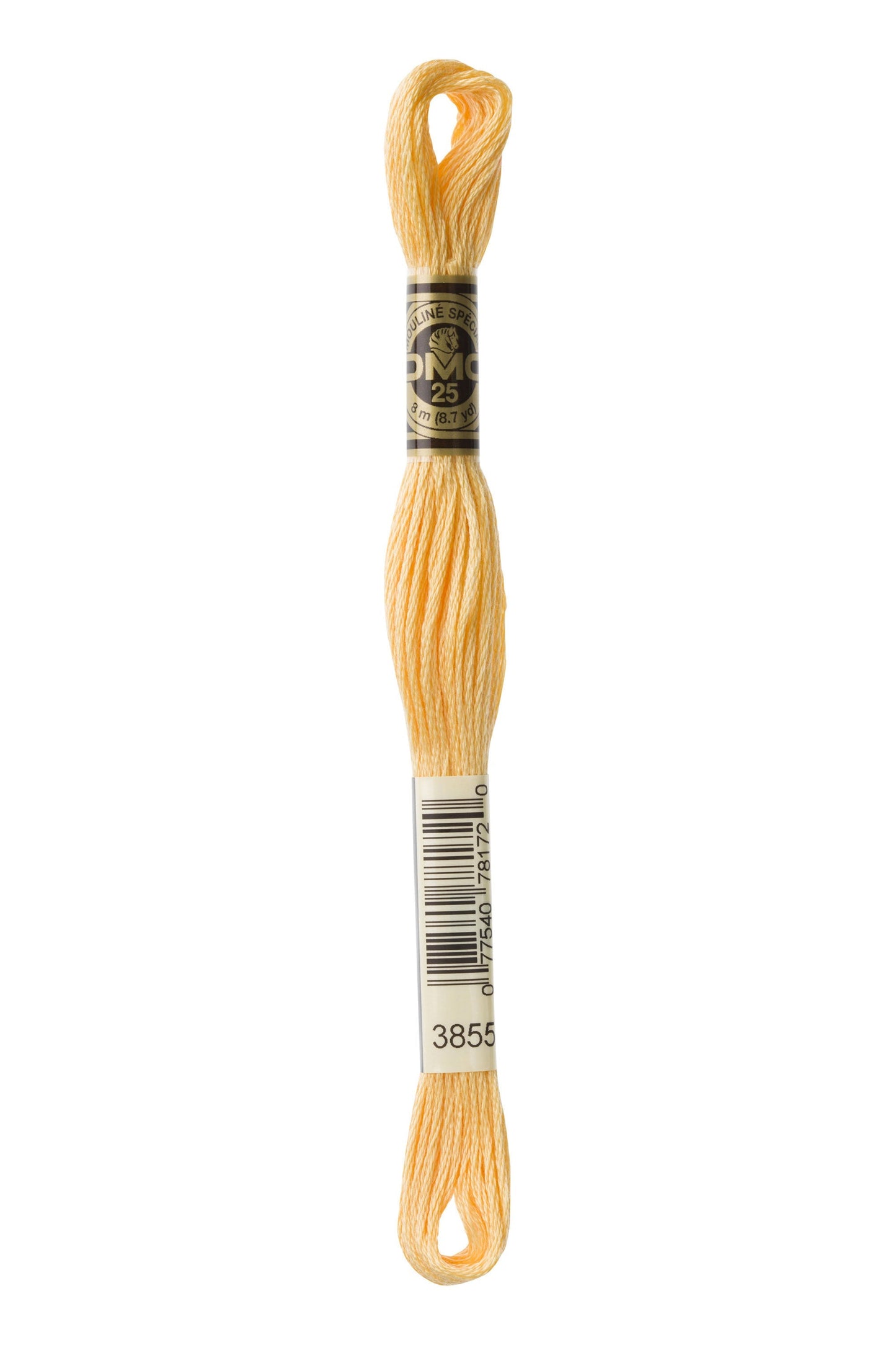 Six-Strand Embroidery Floss - 3855 (Desert Winds)-Embroidery Thread-Wild and Woolly Yarns