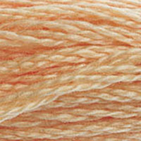 Six-Strand Embroidery Floss - 3856 (Buff)-Embroidery Thread-Wild and Woolly Yarns