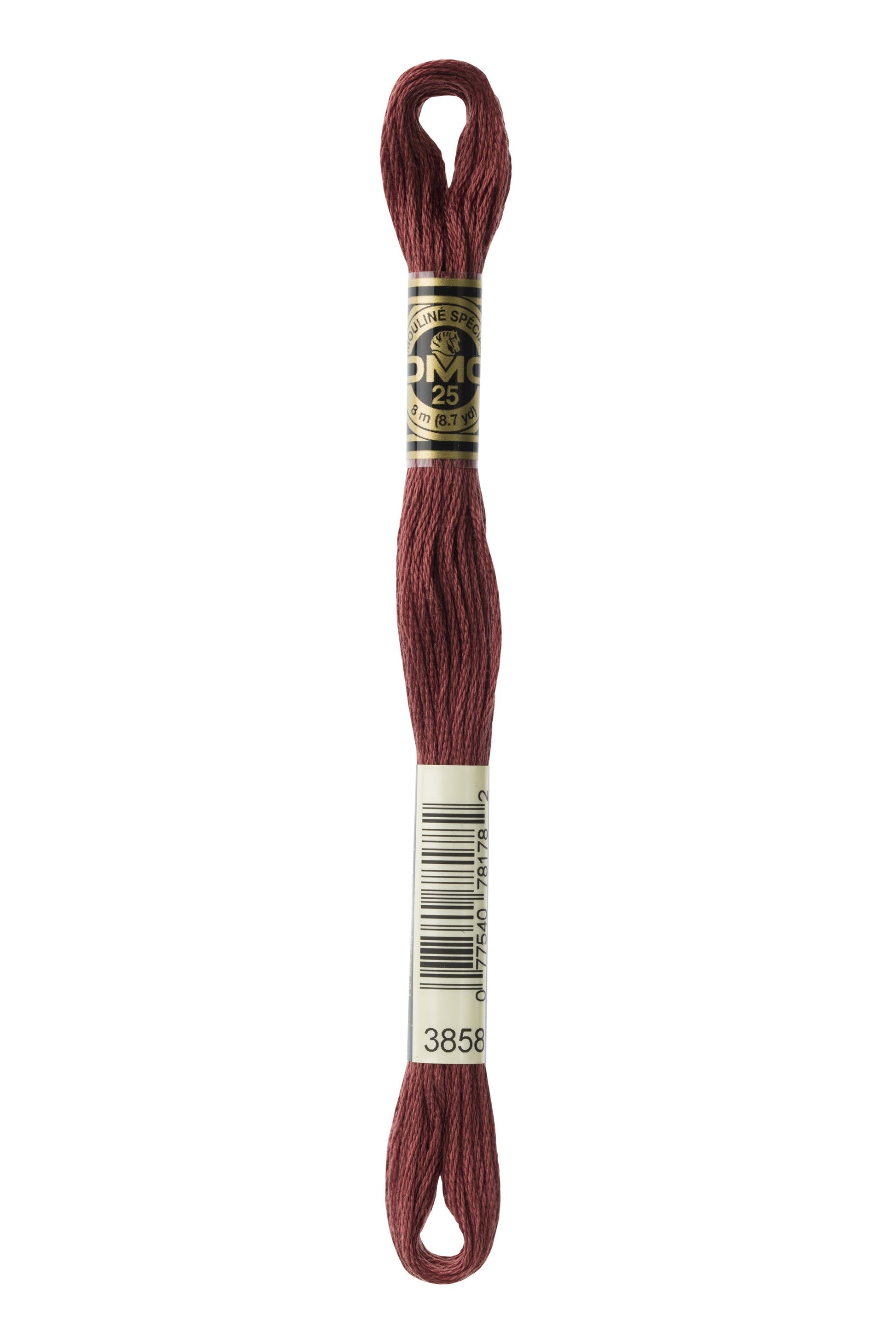 Six-Strand Embroidery Floss - 3858 (Rose Brown)-Embroidery Thread-Wild and Woolly Yarns