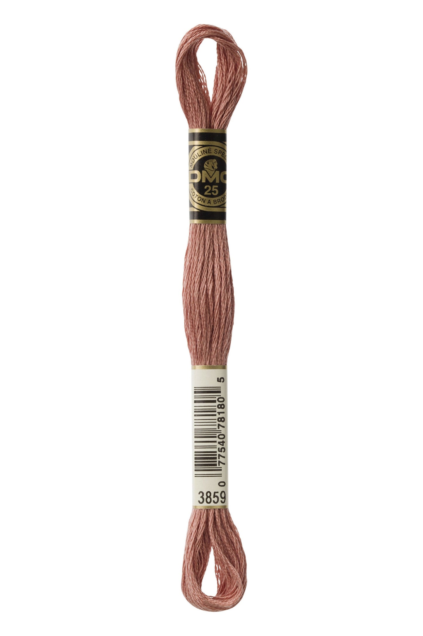 Six-Strand Embroidery Floss - 3859 (Clay)-Embroidery Thread-Wild and Woolly Yarns